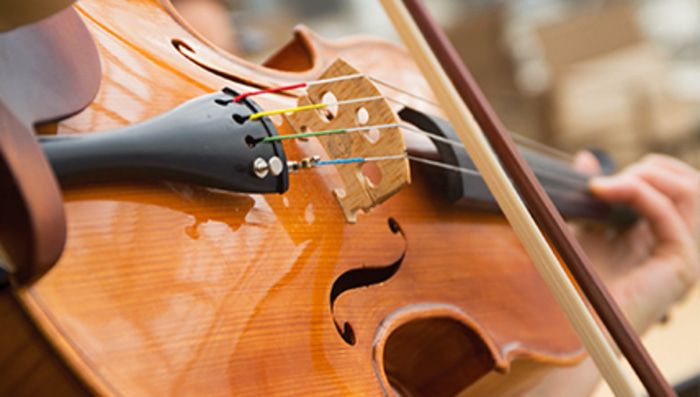 Classical & Regional Musicians